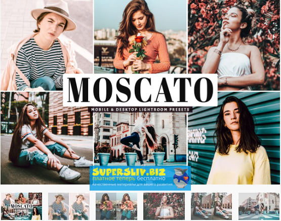 [DesignBundles] Moscato Mobile & Desktop Lightroom_0.png